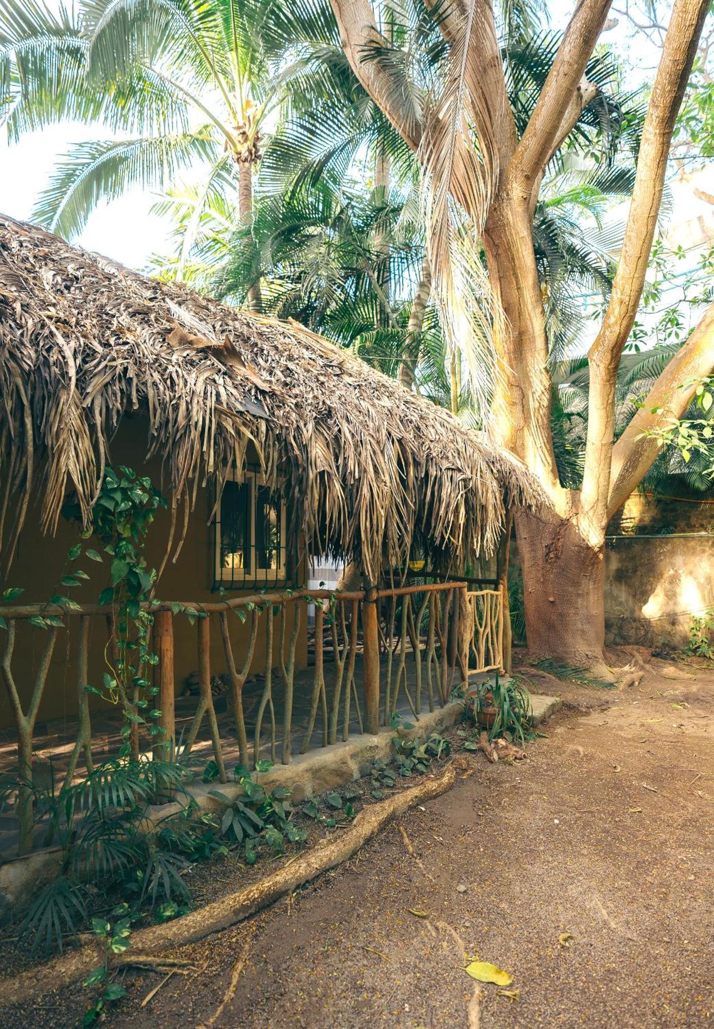 Junto Al Rio Bungalows & Suites Sayulita Exterior foto