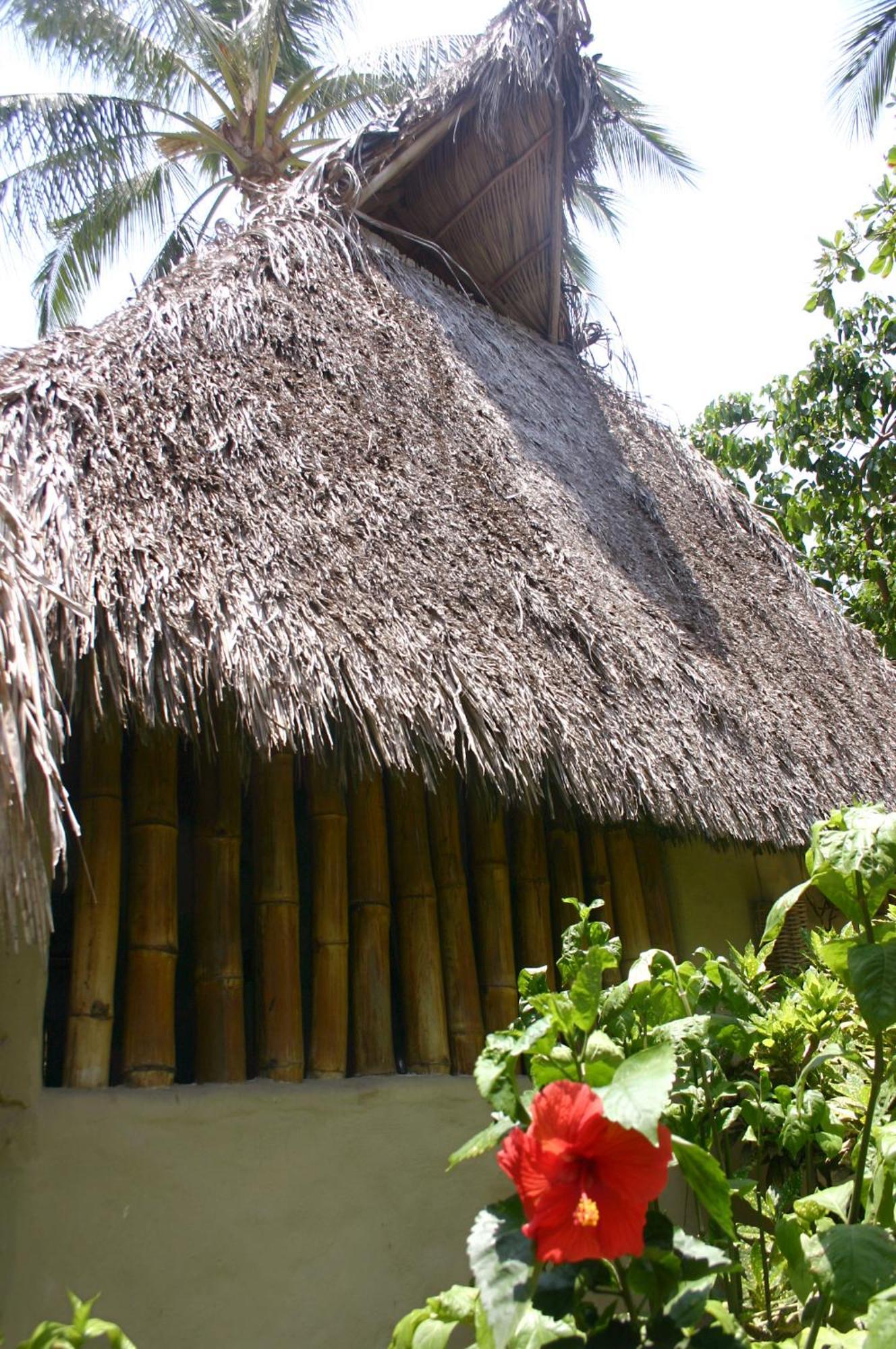 Junto Al Rio Bungalows & Suites Sayulita Exterior foto