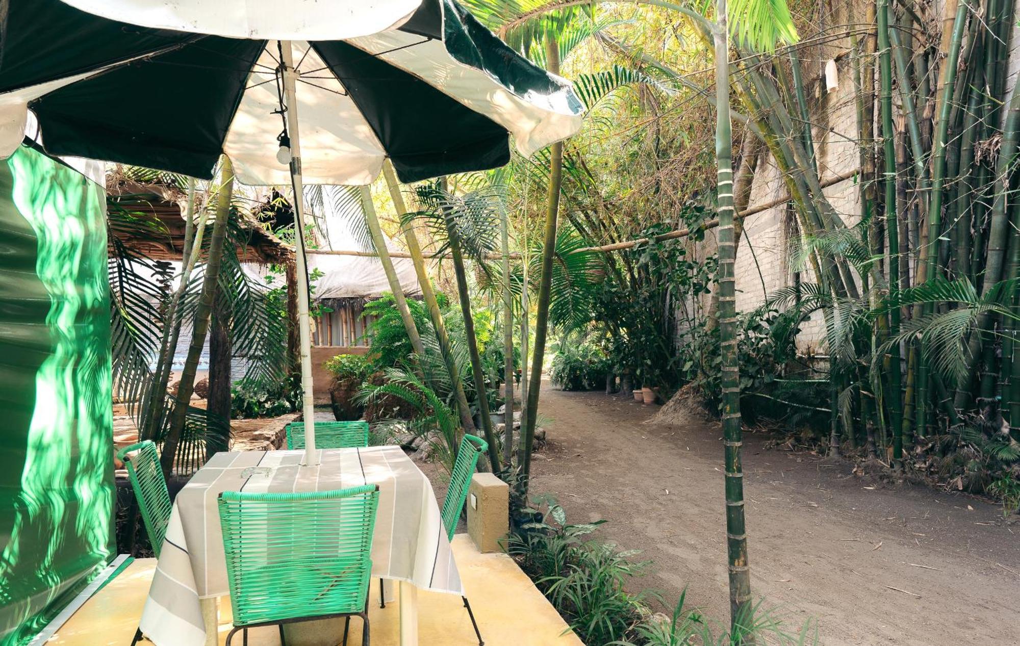 Junto Al Rio Bungalows & Suites Sayulita Exterior foto