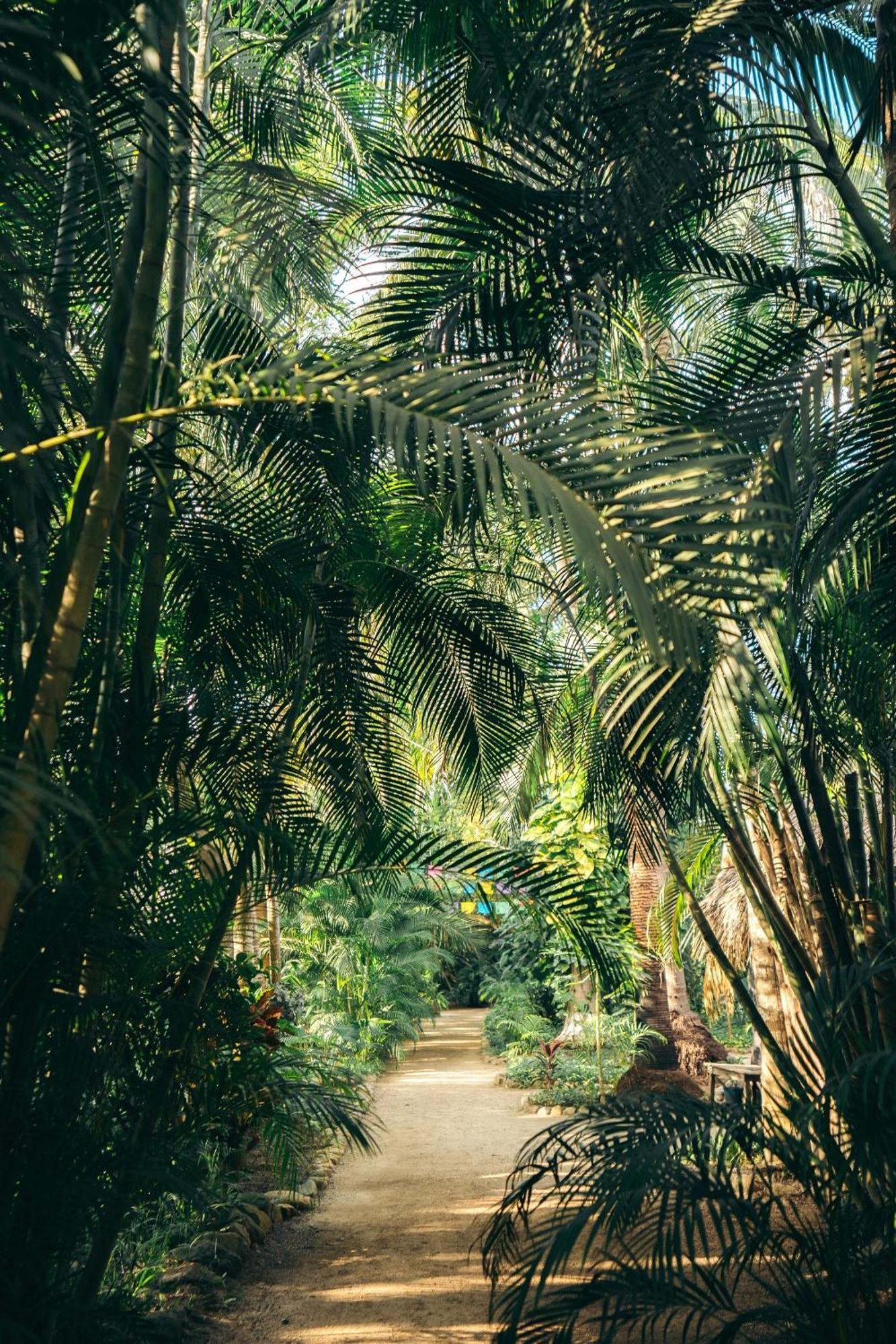 Junto Al Rio Bungalows & Suites Sayulita Exterior foto