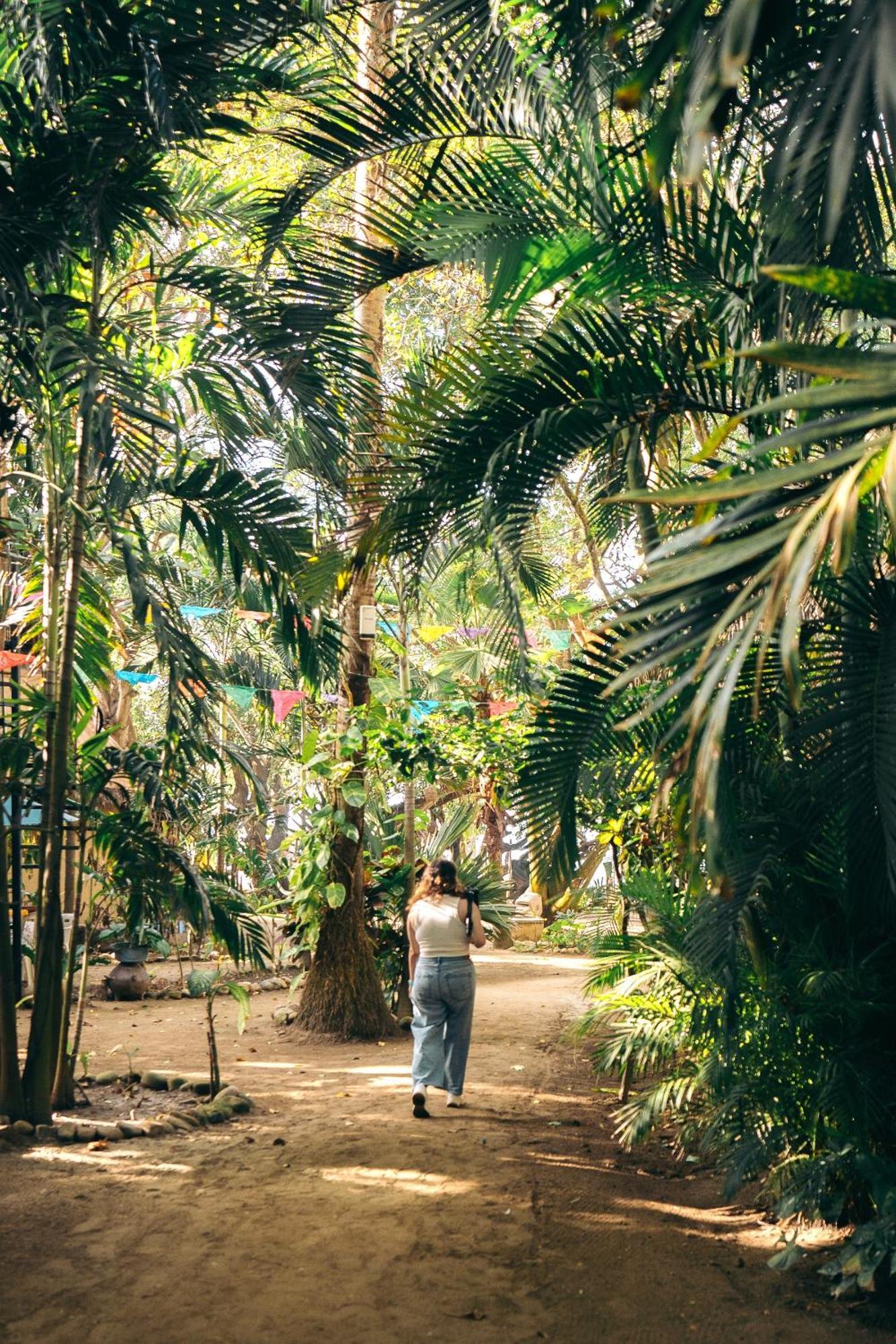 Junto Al Rio Bungalows & Suites Sayulita Exterior foto