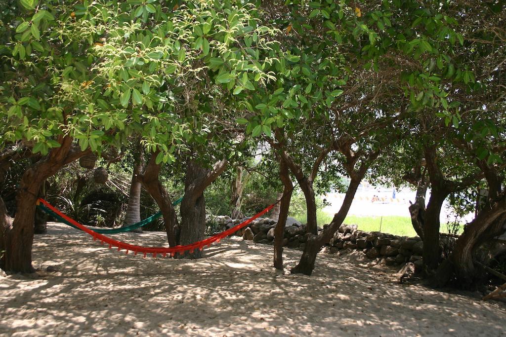Junto Al Rio Bungalows & Suites Sayulita Exterior foto